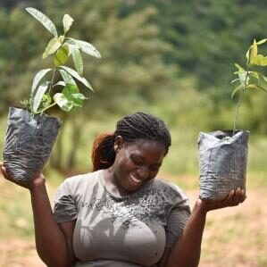 Mai Nduna lacht und balanciert zwei Stecklinge für Mangobäume